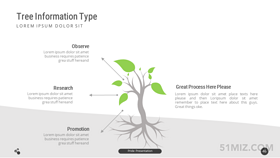 16:9寬屏創(chuàng)意樹(shù)葉圖形ppt并列關(guān)系模板